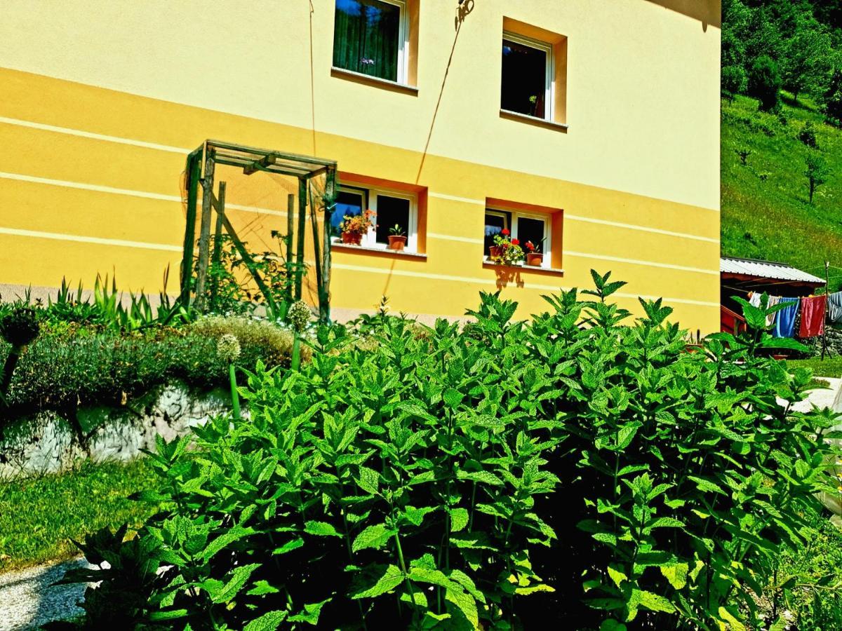 Apartment And Garden House Among The Mountains Podbrdo Экстерьер фото