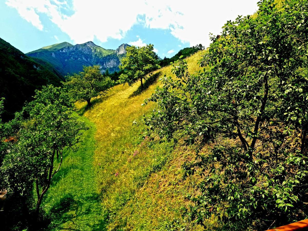 Apartment And Garden House Among The Mountains Podbrdo Экстерьер фото